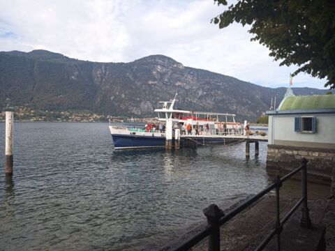 Foto 335